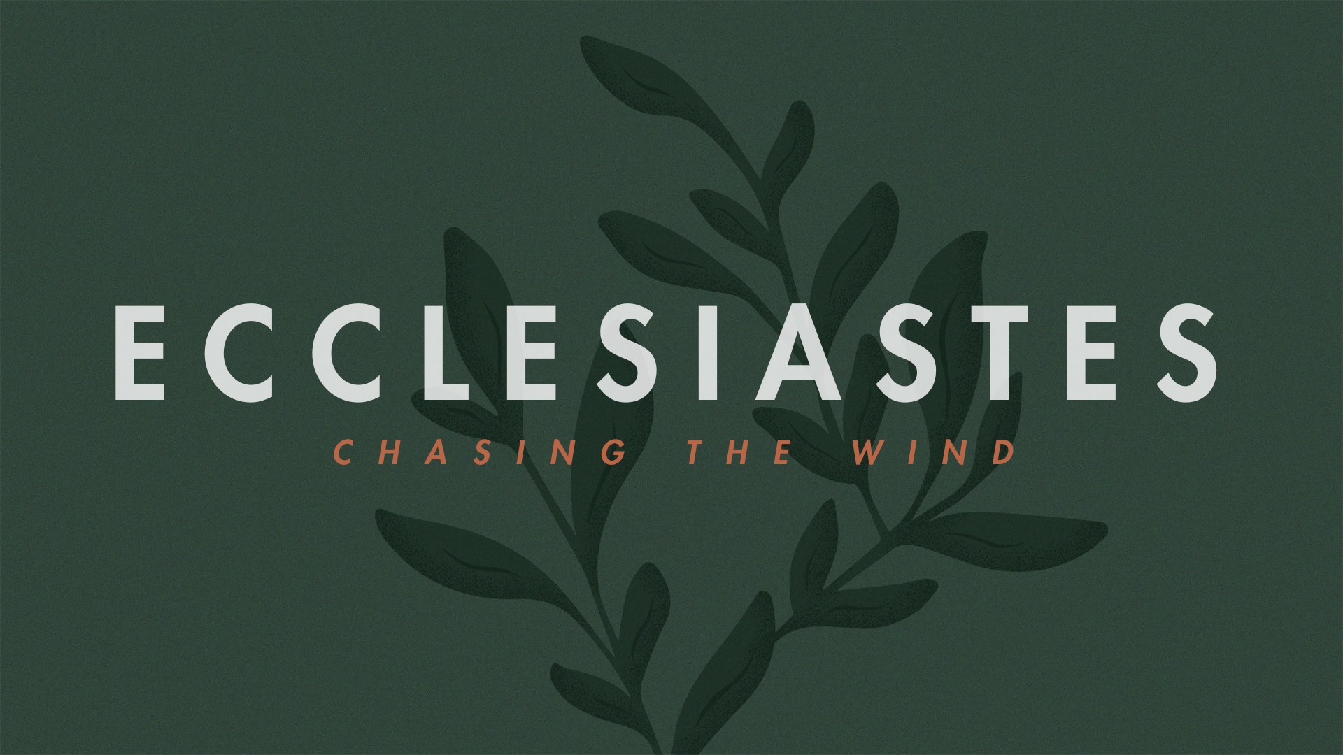 Ecclesiastes – Moderation in a Misshapen World (Ecclesiastes 7:15-20)